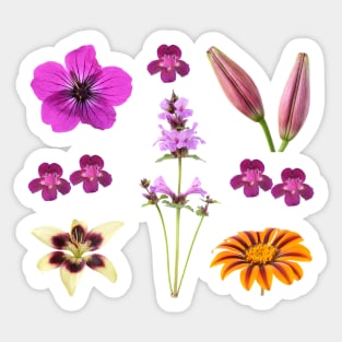 Assorted flowers Sticker